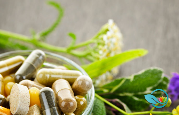 2019 Definitive Nutraceuticals Guide